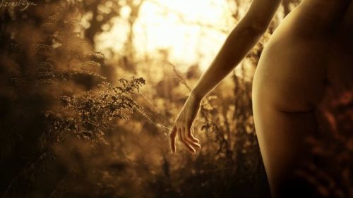 Hot Nude Girl in Nature Photo - Free Porn Wallpaper with Download