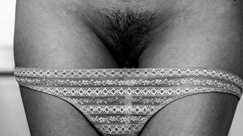 Hairy Panty Porn Wallpaper: Explicit Images of Hairy Pussies